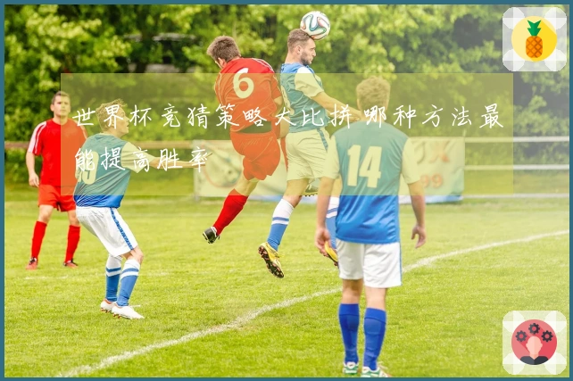 世界杯竞猜策略大比拼 哪种方法最能提高胜率